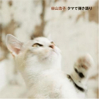 タマで弾き語りの画像
