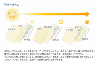 知と性、毛布とセックスの画像