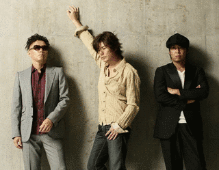 STAY OR SHINEの画像