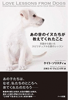 アニマル天国は今日も晴れの画像