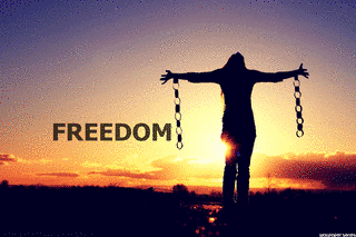 FREEDOMの画像