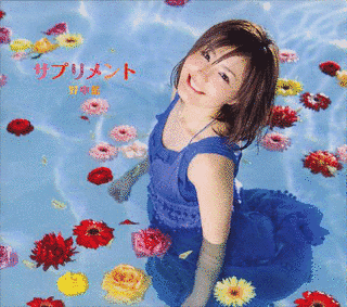 サプリメントの画像