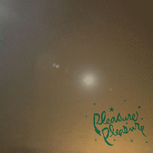 PLEASURE PLEASUREの画像