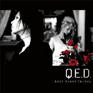 Q.E.D.の画像