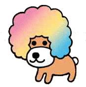 アフロ犬の画像
