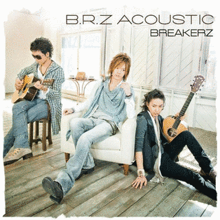 B.R.Z ACOUSTICの画像