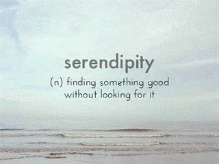 SERENDIPITYの画像