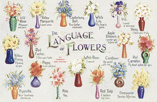 FLOWER LANGUAGEの画像