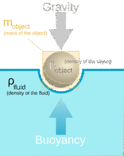 BUOYANCYの画像