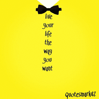 LIVE!!LIFE!!VIBE!!の画像