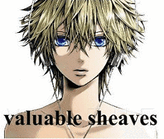 VALUABLE SHEAVESの画像