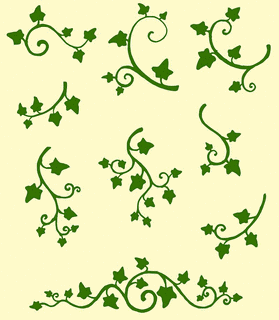 IVY 〜アイビー〜の画像