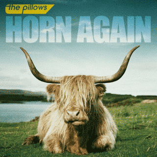 HORN AGAINの画像