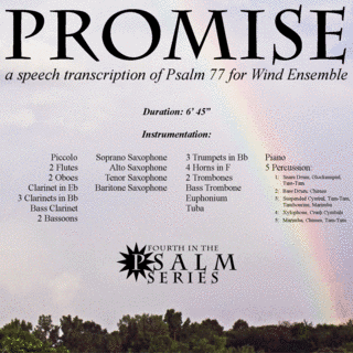 PROMISED MELODIESの画像