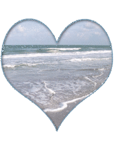 SEA OF LOVEの画像