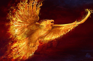 PHOENIX RISINGの画像