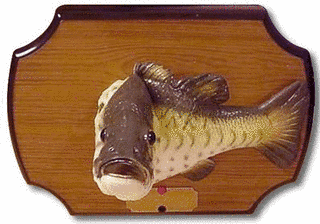 TALKING BASSの画像