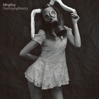 DESTROYING BEAUTYの画像