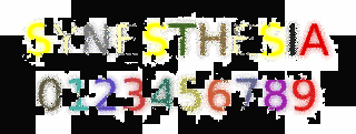 SYNESTHESIAの画像
