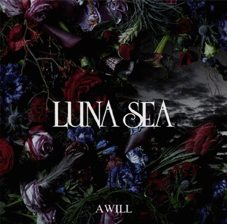 A WILLの画像