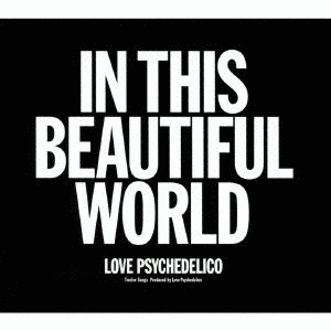 IN THIS BEAUTIFUL WORLDの画像