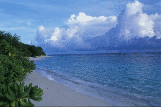 BEACHの画像