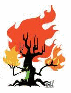BURNING TREEの画像