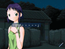 忘れな草の画像