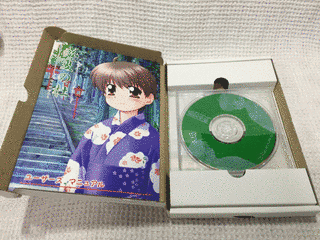 盛夏の杜の画像