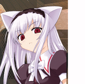 よくばりサボテンの画像