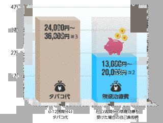 いもうと中毒 〜治す薬はありません〜の画像