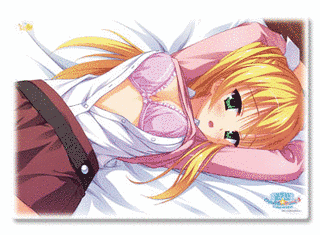 のーぶる☆わーくすの画像