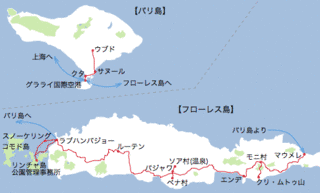 フローレス海の画像