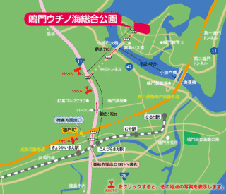 ウチノ海の画像