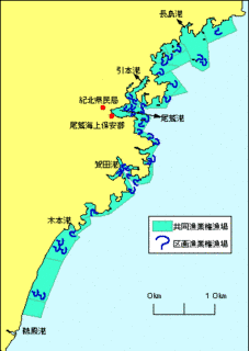 熊野灘の画像