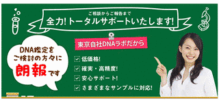 DNA JAPANの画像