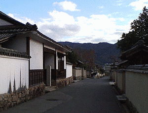 中丁の画像