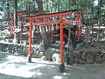 朱霊の画像