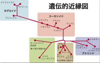 黄祖の画像