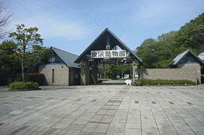 カン沢の画像