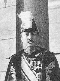 張燕の画像