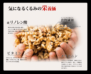 胡質の画像