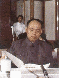 姚文元の画像