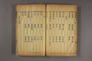 段玉裁の画像