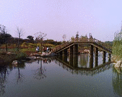 孫河の画像