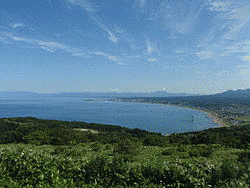 夷王の画像