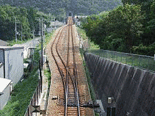 新大王の画像