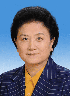 劉延東の画像