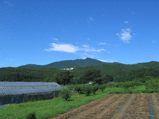 山の画像