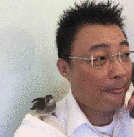 劉維明の画像